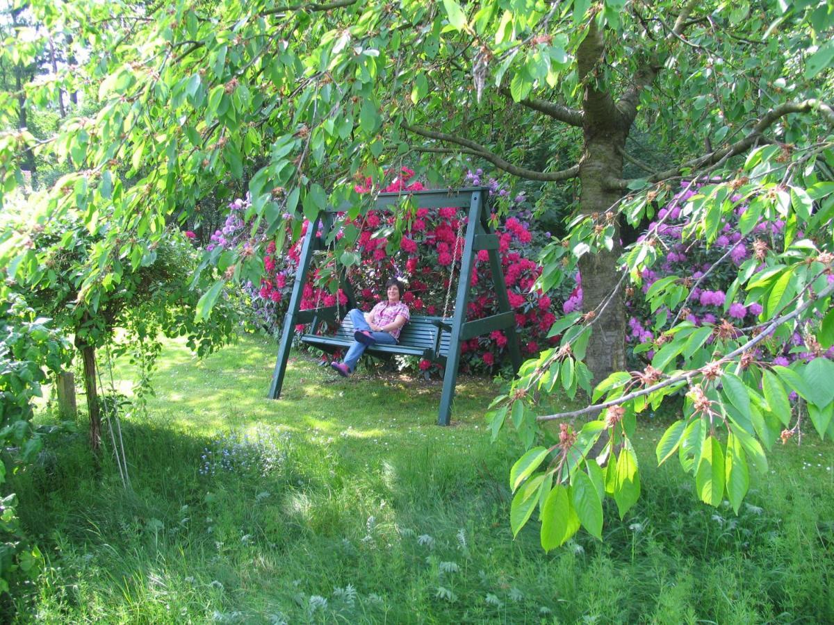 Ferienwohnungen Tewes Mueden Exterior photo