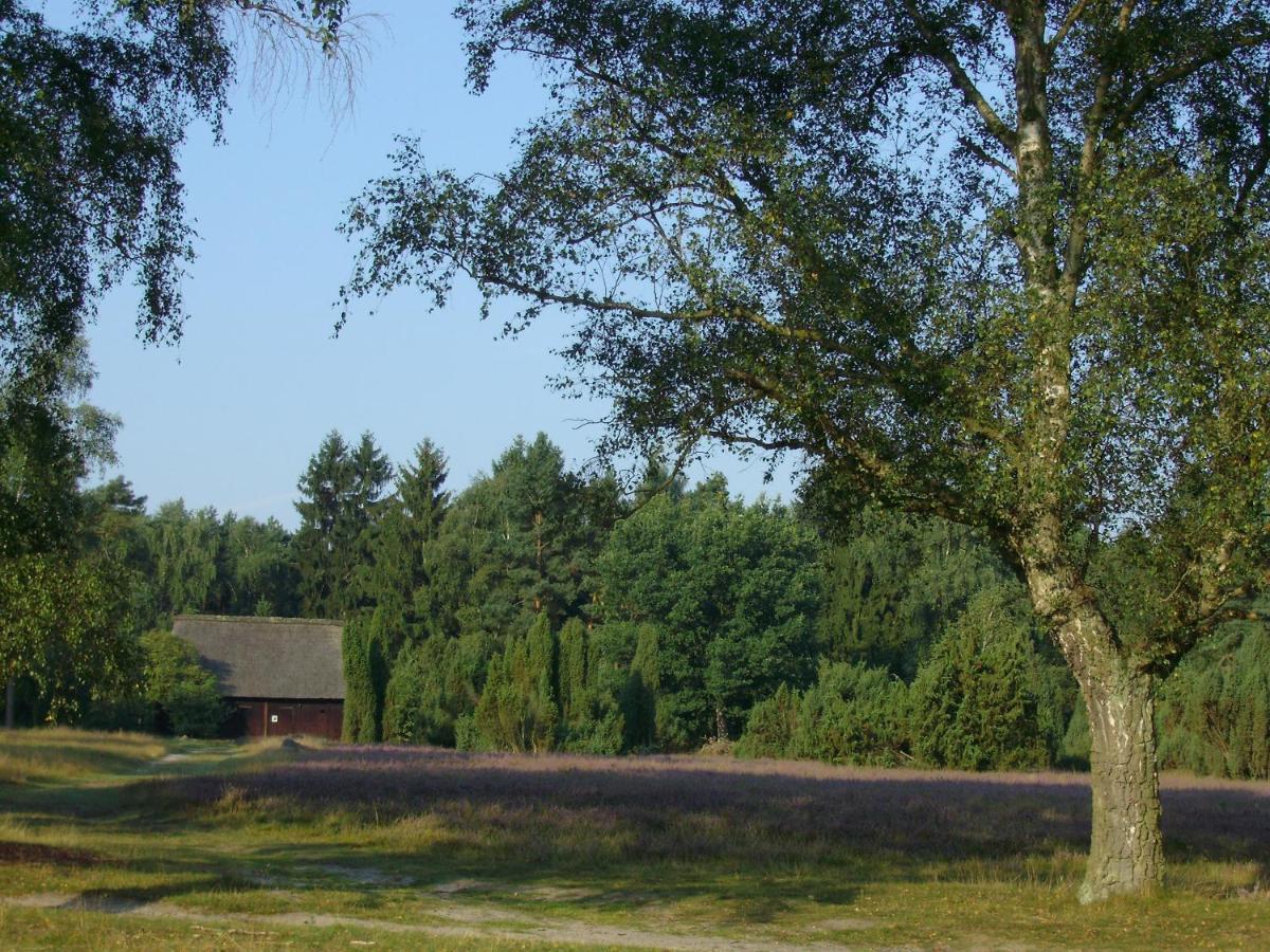 Ferienwohnungen Tewes Mueden Exterior photo