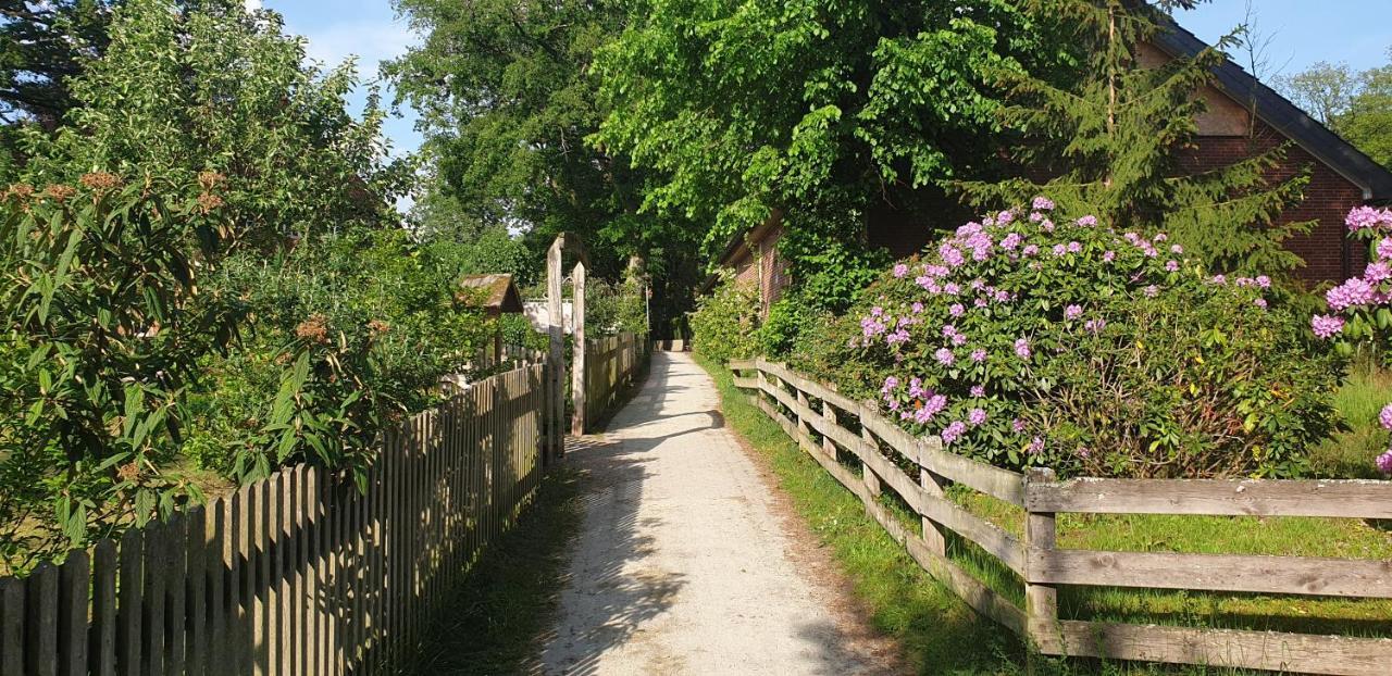 Ferienwohnungen Tewes Mueden Exterior photo